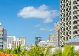 Lais Puzzle - Palmen und Hausdächer in Honolulu, Hawaii, USA - 1.000 Teile