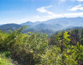 Lais Puzzle - Great Smoky Mountains in der Nähe von Gatlinburg, Tennessee - 40, 100, 200, 500, 1.000 & 2.000 Teile