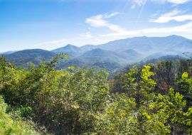 Lais Puzzle - Great Smoky Mountains in der Nähe von Gatlinburg, Tennessee - 1.000 Teile