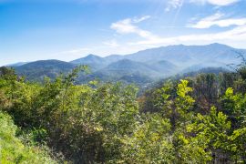 Lais Puzzle - Great Smoky Mountains in der Nähe von Gatlinburg, Tennessee - 2.000 Teile