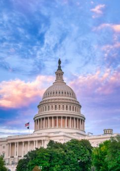 Lais Puzzle - Das Kapitol der Vereinigten Staaten in Washington, D.C. - 1.000 Teile