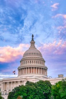 Lais Puzzle - Das Kapitol der Vereinigten Staaten in Washington, D.C. - 2.000 Teile