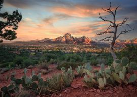 Lais Puzzle - Sendona Stadt mit rotem Felsenhintergrund - 500, 1.000 & 2.000 Teile