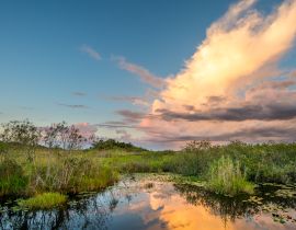 Lais Puzzle - Faszinierender Blick auf den Everglades National Park in Florida bei Sonnenuntergang - 40, 100, 200, 500, 1.000 & 2.000 Teile