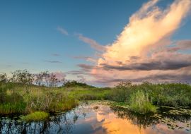 Lais Puzzle - Faszinierender Blick auf den Everglades National Park in Florida bei Sonnenuntergang - 1.000 Teile