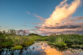 Lais Puzzle - Faszinierender Blick auf den Everglades National Park in Florida bei Sonnenuntergang - 2.000 Teile