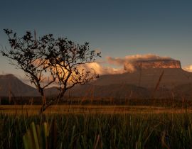 Lais Puzzle - Blick auf das Ptari Tepui Plateau bei Sonnenuntergang auf dem Weg zum Karuay Wasserfall La Gran Sabana Venezuela - 40, 100, 200, 500, 1.000 & 2.000 Teile