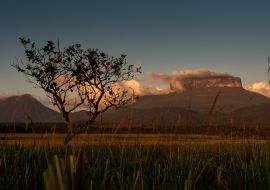 Lais Puzzle - Blick auf das Ptari Tepui Plateau bei Sonnenuntergang auf dem Weg zum Karuay Wasserfall La Gran Sabana Venezuela - 1.000 Teile