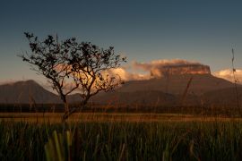 Lais Puzzle - Blick auf das Ptari Tepui Plateau bei Sonnenuntergang auf dem Weg zum Karuay Wasserfall La Gran Sabana Venezuela - 2.000 Teile