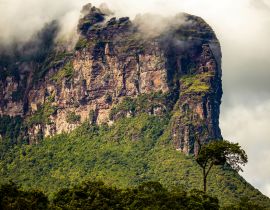 Lais Puzzle - Aussicht auf die Berge und Schluchten des Canaima-Nationalparks - 40, 100, 200, 500, 1.000 & 2.000 Teile