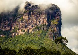 Lais Puzzle - Aussicht auf die Berge und Schluchten des Canaima-Nationalparks - 1.000 Teile