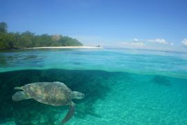 Lais Puzzle - Unterwasserszene , Karibisches Meer , Venezuela - 2.000 Teile