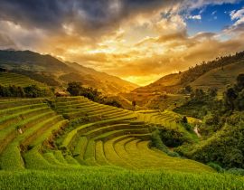 Lais Puzzle - Terrassenreisfeld - Bezirk Mù Căng Chải, Provinz Yen Bai, Vietnam - 40, 100, 200, 500, 1.000 & 2.000 Teile