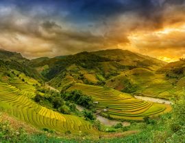 Lais Puzzle - Reisfelder auf Terrassen im Sonnenuntergang Mu chang chai, Yen bai, Vietnam - 40, 100, 200, 500, 1.000 & 2.000 Teile