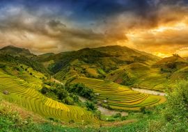 Lais Puzzle - Reisfelder auf Terrassen im Sonnenuntergang Mu chang chai, Yen bai, Vietnam - 1.000 Teile