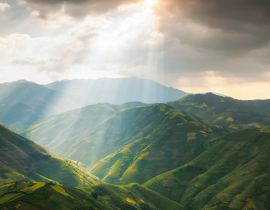 Lais Puzzle - Reisfelder bereiten die Ernte im Nordwesten Vietnams vor - 40, 100, 200, 500, 1.000 & 2.000 Teile