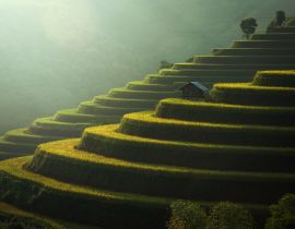 Lais Puzzle - Reisfelder Mu Cang Chai, Vietnam - 40, 100, 200, 500, 1.000 & 2.000 Teile
