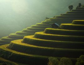 Lais Puzzle - Reisfelder Mu Cang Chai, Vietnam - 40, 100, 200, 500, 1.000 & 2.000 Teile