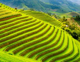 Lais Puzzle - Terrassenreisfeld in den Bergen von Mu Cang Chai, Provinz Yen Bai, Nordvietnam - 40, 100, 200, 500, 1.000 & 2.000 Teile