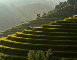 Lais Puzzle - Terrassenreisfeld von Mu Cang Chai bei Sonnenaufgang, Sonnenaufgangseffekt, Vietnam - 40, 100, 200, 500, 1.000 & 2.000 Teile