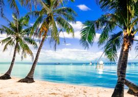 Lais Puzzle - Blick auf den türkisfarbenen Palmenstrand bei der Insel Phu Quoc in Vietnam - 1.000 Teile