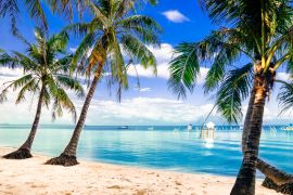 Lais Puzzle - Blick auf den türkisfarbenen Palmenstrand bei der Insel Phu Quoc in Vietnam - 2.000 Teile