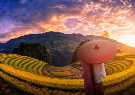 Lais Puzzle - Frau mit traditionellem roten Regenschirm auf terrassierten Reisfeldern mit Pinien bei Sonnenuntergang in Mu Cang Chai, YenBai, Vietnam - 1.000 Teile
