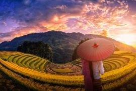 Lais Puzzle - Frau mit traditionellem roten Regenschirm auf terrassierten Reisfeldern mit Pinien bei Sonnenuntergang in Mu Cang Chai, YenBai, Vietnam - 2.000 Teile