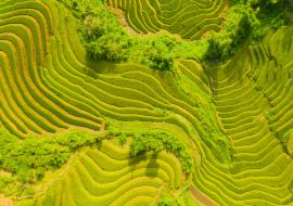 Lais Puzzle - Luftaufnahme der Reisterrassen, grüne landwirtschaftliche Felder auf dem Land oder in der ländlichen Gegend von Mu Cang Chai, Yen Bai, Berghügel Tal bei Sonnenuntergang in Asien, Vietnam - 1.000 Teile