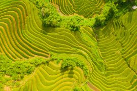 Lais Puzzle - Luftaufnahme der Reisterrassen, grüne landwirtschaftliche Felder auf dem Land oder in der ländlichen Gegend von Mu Cang Chai, Yen Bai, Berghügel Tal bei Sonnenuntergang in Asien, Vietnam - 2.000 Teile