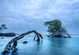 Lais Puzzle - Morgendämmerung am Schlangenstrand auf der Insel Phu Quoc, Kien Giang, Vietnam - 1.000 Teile