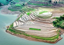 Lais Puzzle - Terrassenförmig angelegte Reisfelder im Hochland. Provinz Lao Cai, Vietnam - 1.000 Teile