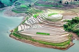 Lais Puzzle - Terrassenförmig angelegte Reisfelder im Hochland. Provinz Lao Cai, Vietnam - 2.000 Teile