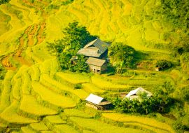 Lais Puzzle - Schöne Landschaft mit Reisterrassen in Hoang Su Phi, Provinz Ha Giang in Vietnam. Reifende Reisfelder im Hochland im Nordwesten - 1.000 Teile