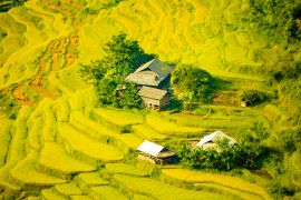 Lais Puzzle - Schöne Landschaft mit Reisterrassen in Hoang Su Phi, Provinz Ha Giang in Vietnam. Reifende Reisfelder im Hochland im Nordwesten - 2.000 Teile