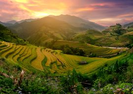 Lais Puzzle - Mu Cang Chai, terrassenförmig angelegtes Reisfeld in der Nähe von Sapa, Nordvietnam - 1.000 Teile