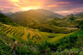 Lais Puzzle - Mu Cang Chai, terrassenförmig angelegtes Reisfeld in der Nähe von Sapa, Nordvietnam - 2.000 Teile