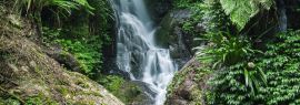 Lais Puzzle - Wasserfall im Lamington National Park in Queensland, Australien, Panorama - 1.000 Teile