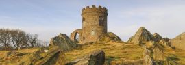 Lais Puzzle - Der alte John im Bradgate Park, England, Panorama - 1.000 Teile