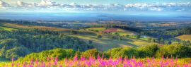 Lais Puzzle - Quantock Hills in Somerset, England, Panorama - 1.000 Teile