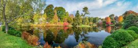 Lais Puzzle - Panoramablick auf Hadlock Pond im Herbst. Drei Farben des Acadia National Park, Maine, Panorama - 1.000 Teile