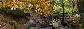 Lais Puzzle - Brücke im Padley Gorge Waldgebiet im Herbst, schöne Farben des Peak District, England, Panorama - 1.000 Teile
