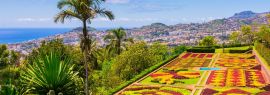 Lais Puzzle - Botanischer Garten in Funchal, Insel Madeira, Portugal, Panorama - 1.000 Teile