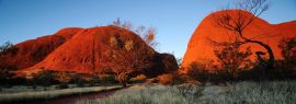 Lais Puzzle - Australien Landschaft: Roter Fels von Alice Spring, Yulara, Mutitjulu, Northern Territory, Panorama - 1.000 Teile