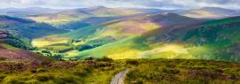 Lais Puzzle - Wicklow Way, Irland, Panorama - 1.000 Teile