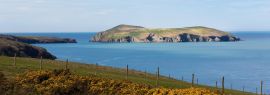 Lais Puzzle - Cardigan Island, Ceredigion, Wales, Panorama - 1.000 Teile