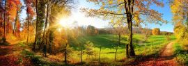Lais Puzzle - Waldlandschaft im Herbst mit Sonnenstrahlen, Panorama - 1.000 Teile