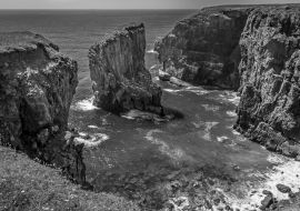 Lais Puzzle - Blick über eine Bucht mit einem vorgelagerten Felsen, der von brütenden Raverbill-Möwen bevölkert wird, an der Küste von Pembrokeshire, Wales, im Sommer in schwarz weiß - 1.000 Teile