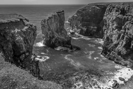 Lais Puzzle - Blick über eine Bucht mit einem vorgelagerten Felsen, der von brütenden Raverbill-Möwen bevölkert wird, an der Küste von Pembrokeshire, Wales, im Sommer in schwarz weiß - 2.000 Teile
