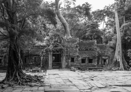 Lais Puzzle - Ta Prohm-Tempel in Angkor Kambodscha Asien in schwarz weiß - 1.000 Teile
